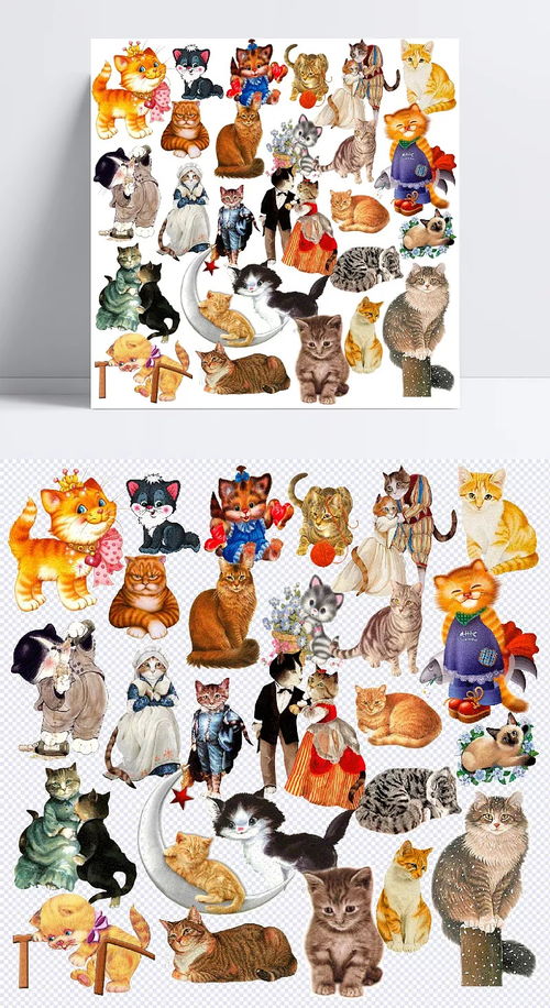 宠物猫咪 宠物,宠物衣服,宠物用品,宠物海报,宠物狗,宠物图标,卡通宠物,宠物沐浴露,宠物背景,猫咪,小猫,动物,可爱,装饰,产品实物,产品实物,设计元素 O cean